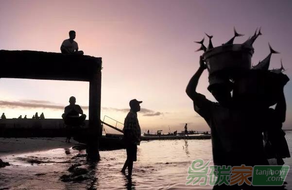 比特幣背后的區(qū)塊鏈技術(shù)，會是建立環(huán)境保護(hù)信任的關(guān)鍵嗎？